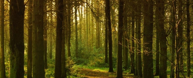 Venez travailler et vivre dans les Ardennes !